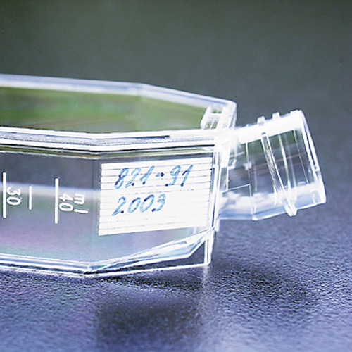 TPP flask_inscription