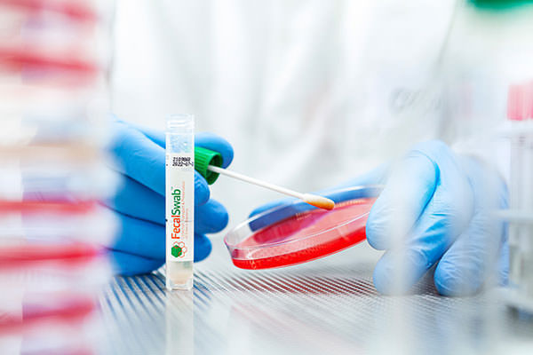 Laboratory swab / with transport medium