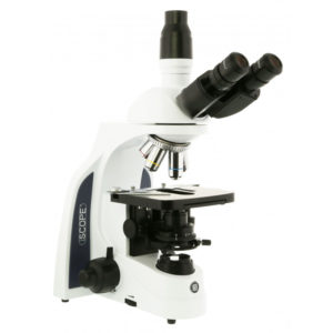 Microscopio plano acromático Iscope IS-1153-Pli. Triocular 40x-1000x
