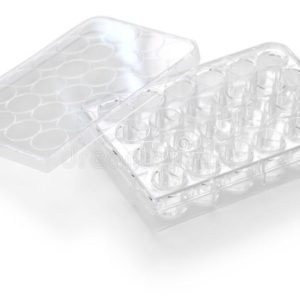 Placa de 24 pocillos (50 uds)