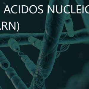 Spin purificación DNA/RNA Viral kit 100 Preparaciones