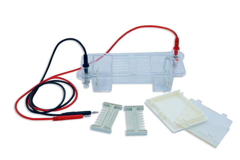 cubeta elecroforesis CN 31