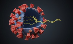 Spin Viral RNA kit 100 preparaciones