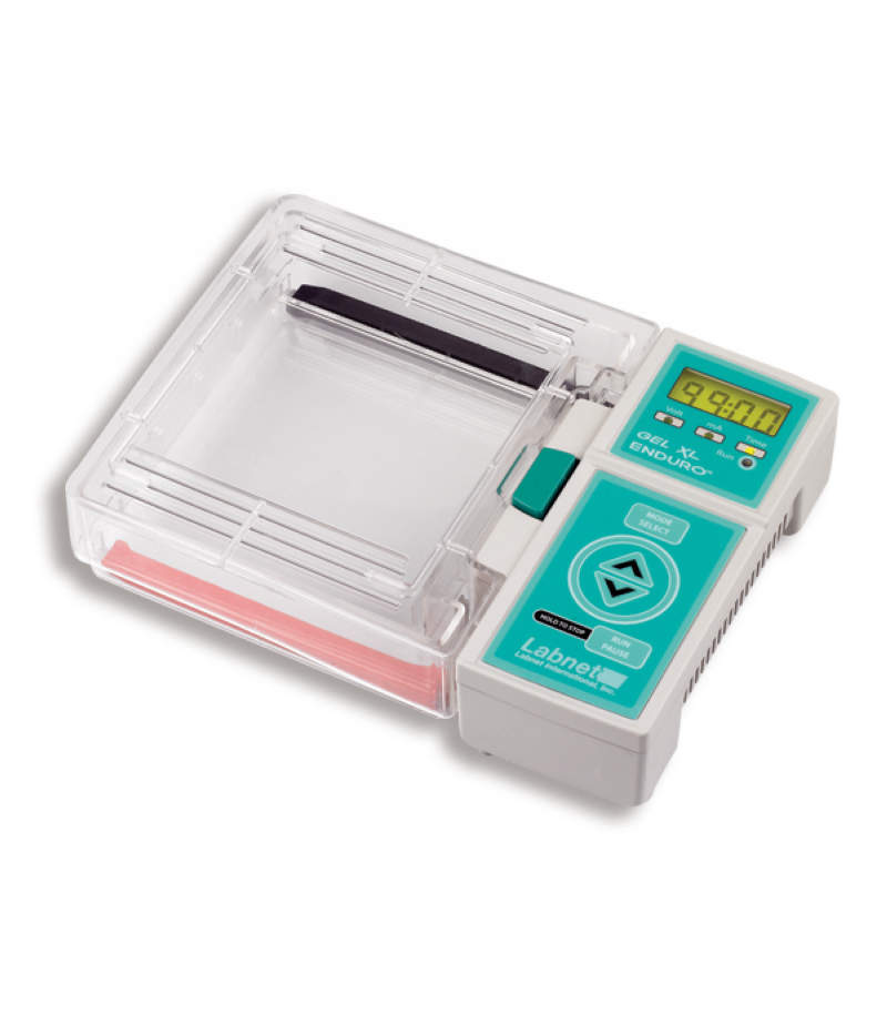 set electroforesis