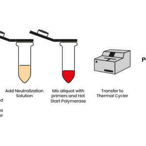 Kit Purificación ADN listo para PCR. SANGRE