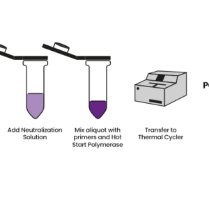 Kit Purificación ADN listo para PCR. TEJIDO Y CÉLULAS