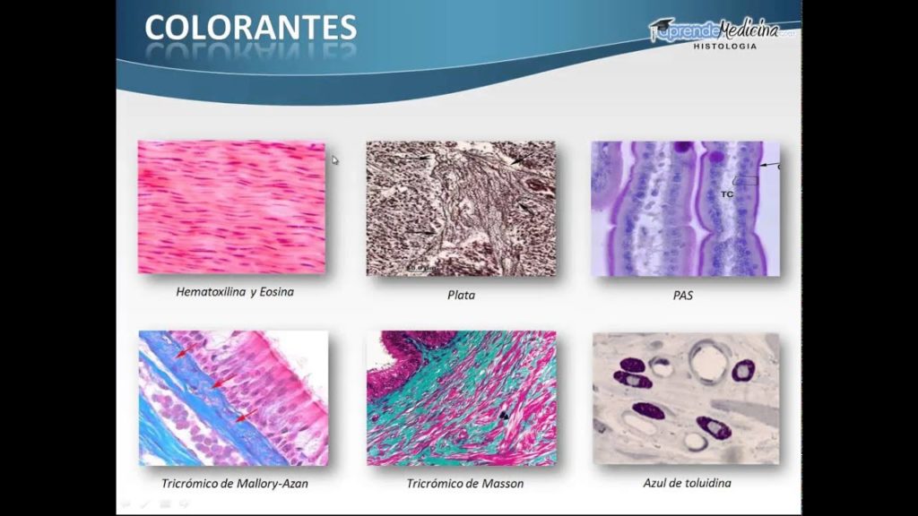 AP MEDICAL SUMINISTROS MÉDICOS AUXILIARES Y LABORATORIO
