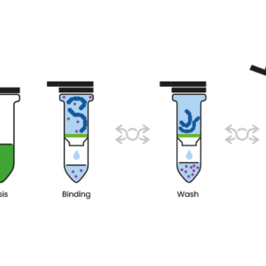 SPIN Plant DNA Kit. 50 Columnas