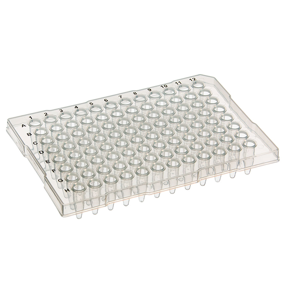 placa pcr quantum 0.2