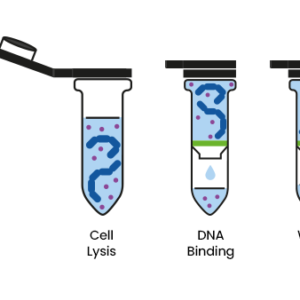 Limpieza ADN - Clean up PCR kit 250 columnas