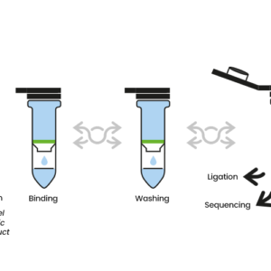 Limpieza ADN - Gel / PCR kit 50 columnas