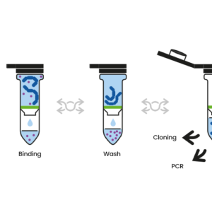 SPIN Plant DNA Kit. 200 preparaciones