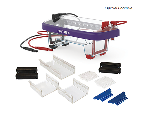 cubeta electroforesis danagen1
