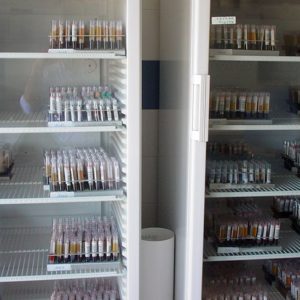 Frigorificos y Congeladores