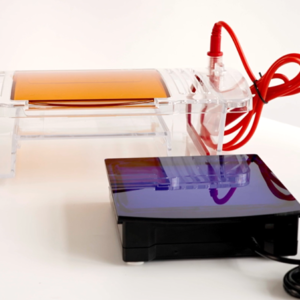 Cubeta Horizontal Electroforesis + Transiluminador