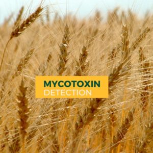 Análisis Micotoxinas (Fluorescencia) Cereales y alimentos