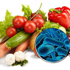 Microbiología Y Seguridad Alimentaria
